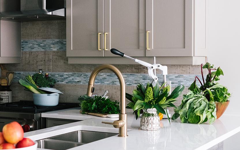 decoração de cozinha com plantas