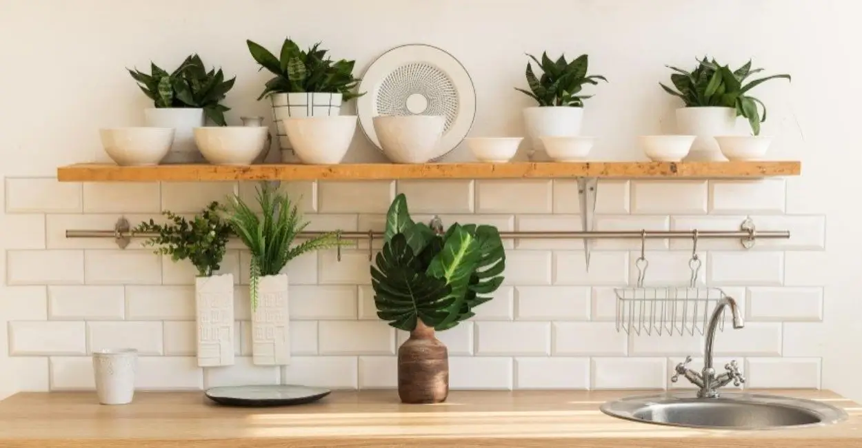 decoração de cozinha com plantas