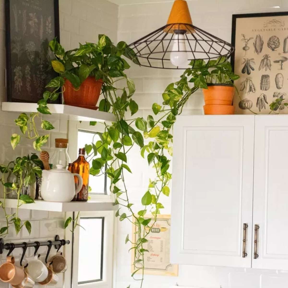decoração de cozinha com plantas