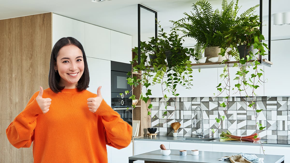decoração de cozinha com plantas