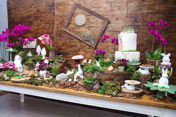 Aniversário e Chá de Bebê