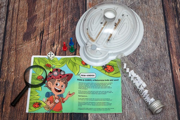 decoração de sala joaninha