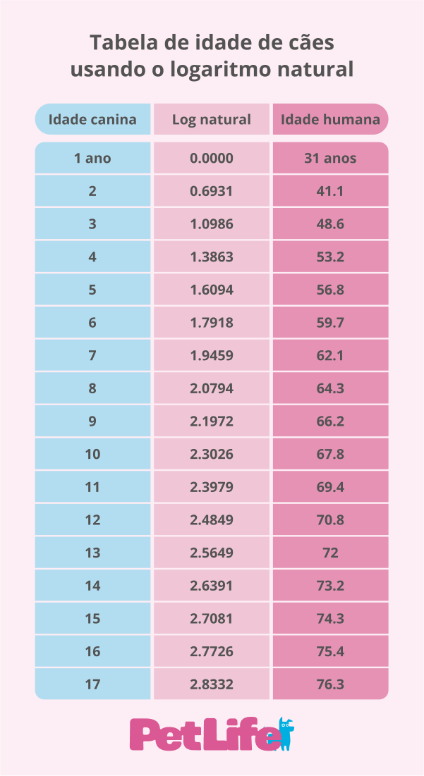 os maiores erros ao calcular a idade do seu cão