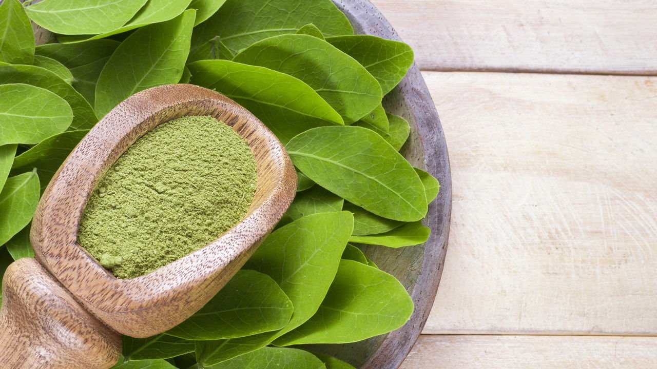 melhores formas de usar moringa no dia a dia