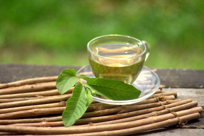 erros comuns ao usar chá de folha de goiaba e como evitar