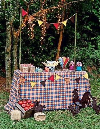 erros comuns ao organizar festa junina em sítio