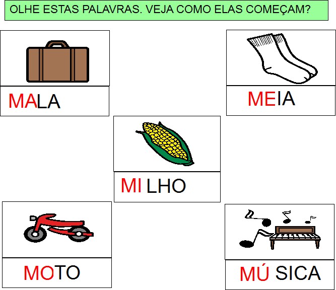 objetos vs animais com a letra m