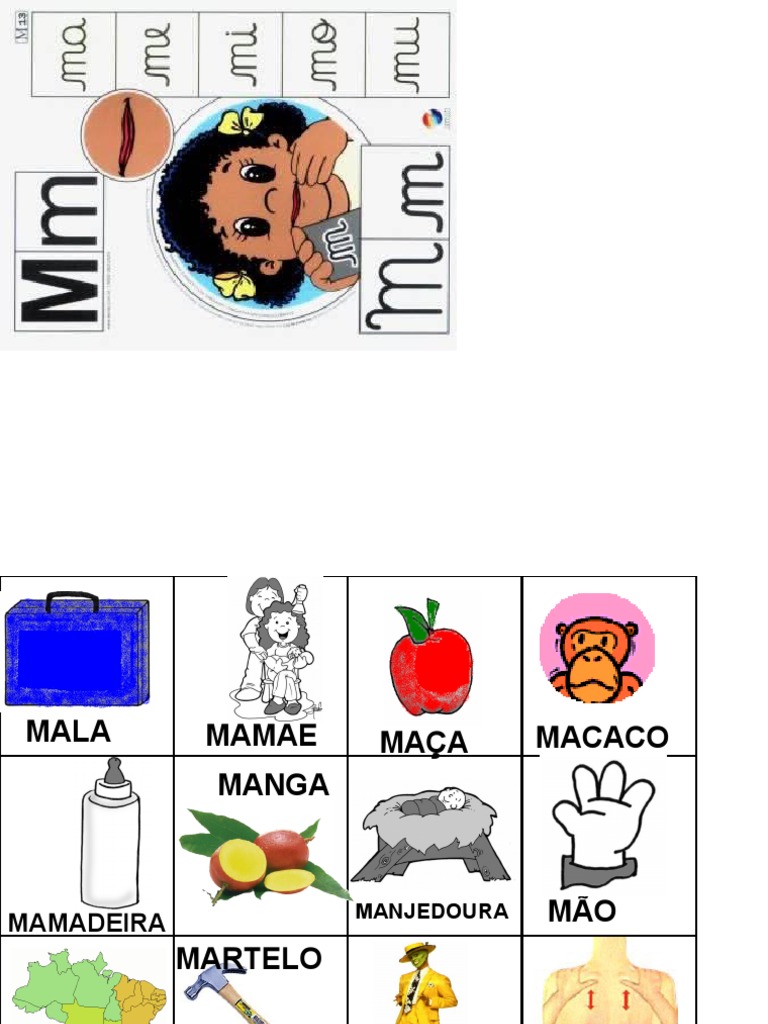 objetos vs animais com a letra m