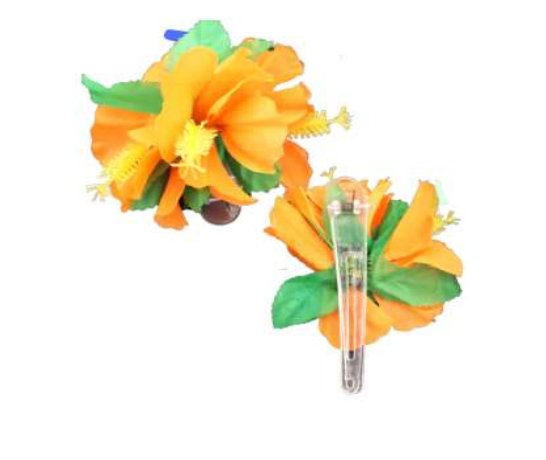 Daminhas e Dia a Dia