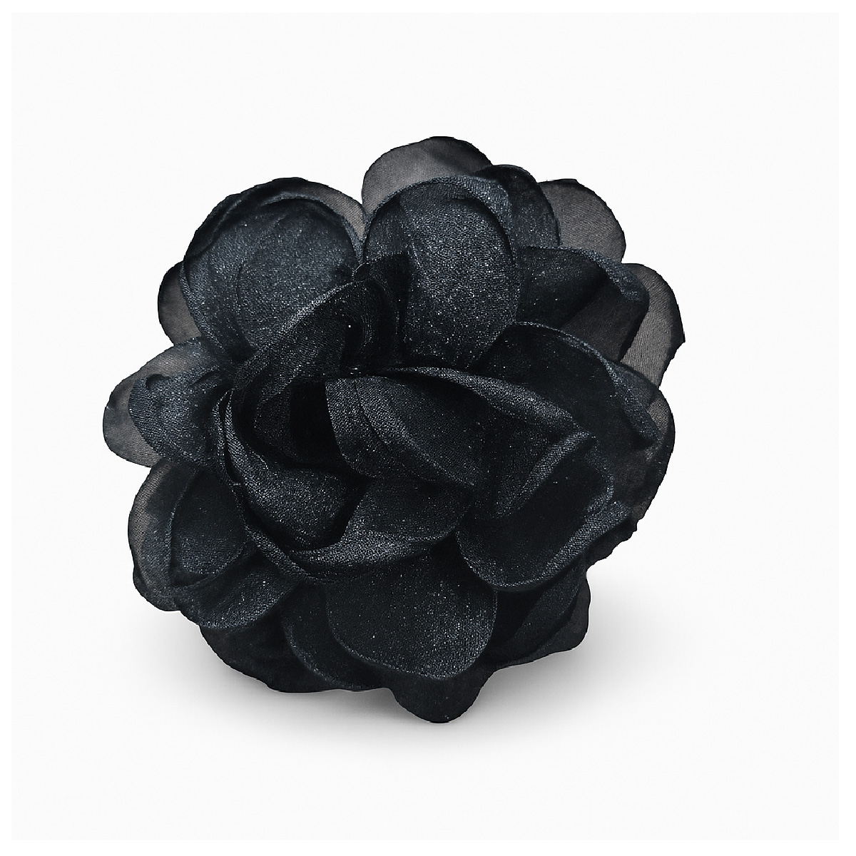 Daminhas e Dia a Dia