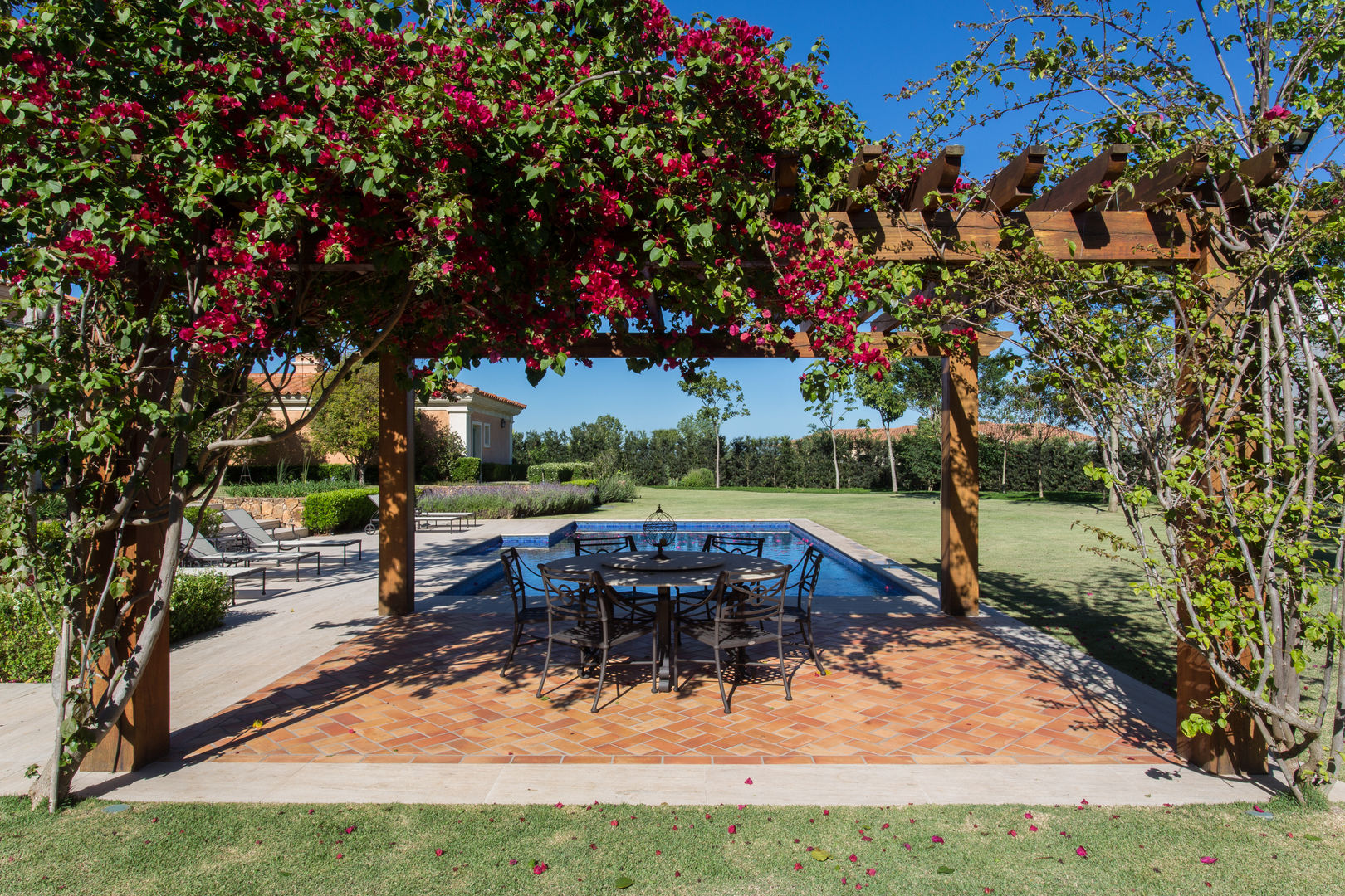 flores para jardim com sombra de arvore