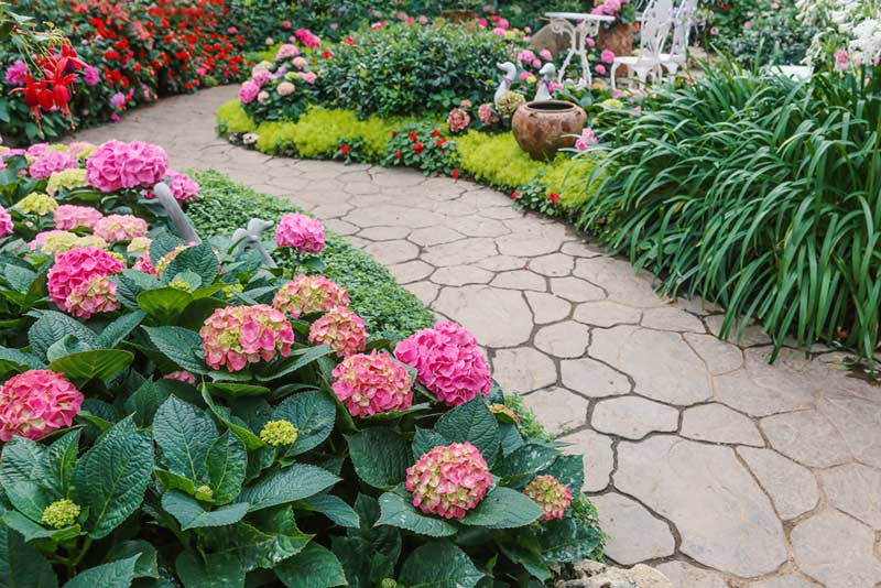 flores para jardim com sombra e que gostam de umidade