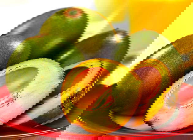 frutas que começam com a letra l