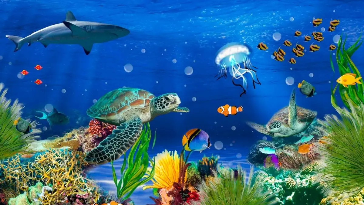 abismo oceânico