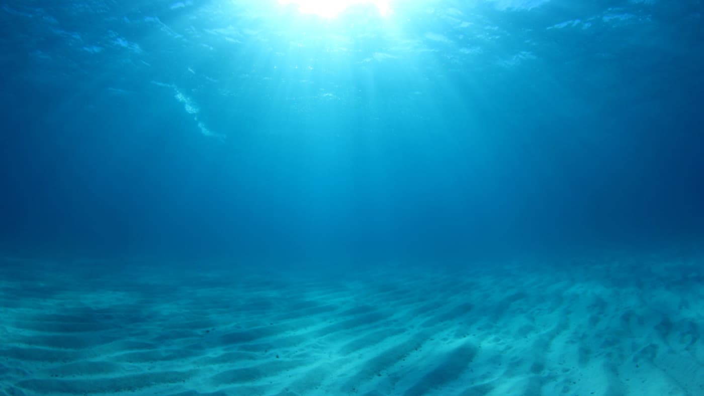 criaturas estranhas do mar