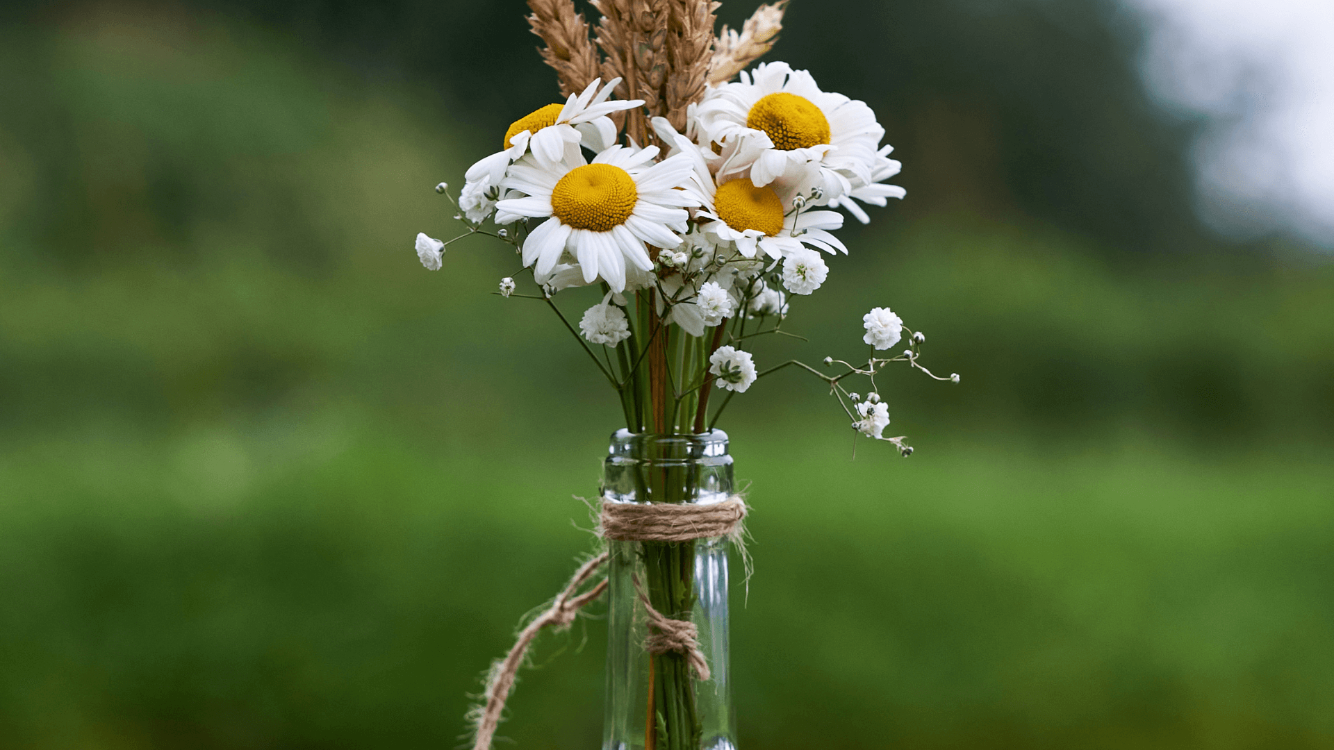 DIY: Transforme Garrafas de Vidro em Peças de Decoração Únicas