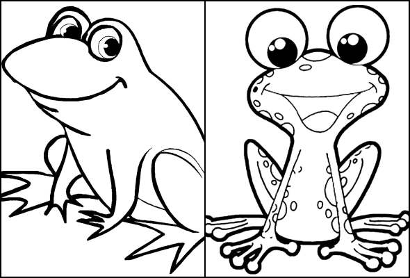 erros comuns ao colorir desenhos de sapo