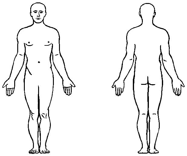 melhores desenhos corpo humano para colorir
