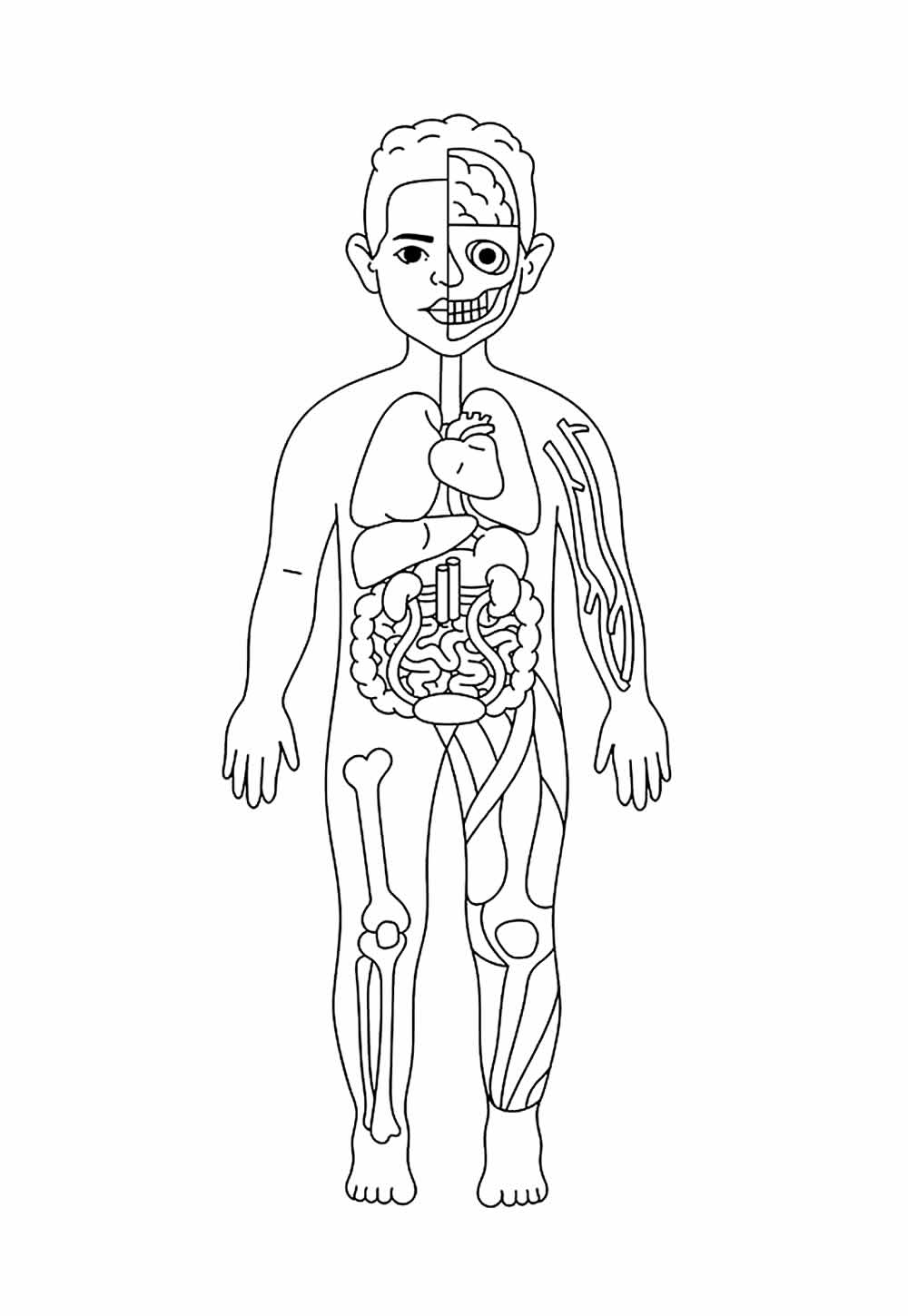 erros comuns ao desenhar corpo humano para colorir