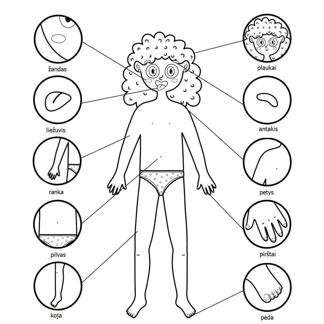 custo de desenhos corpo humano para colorir