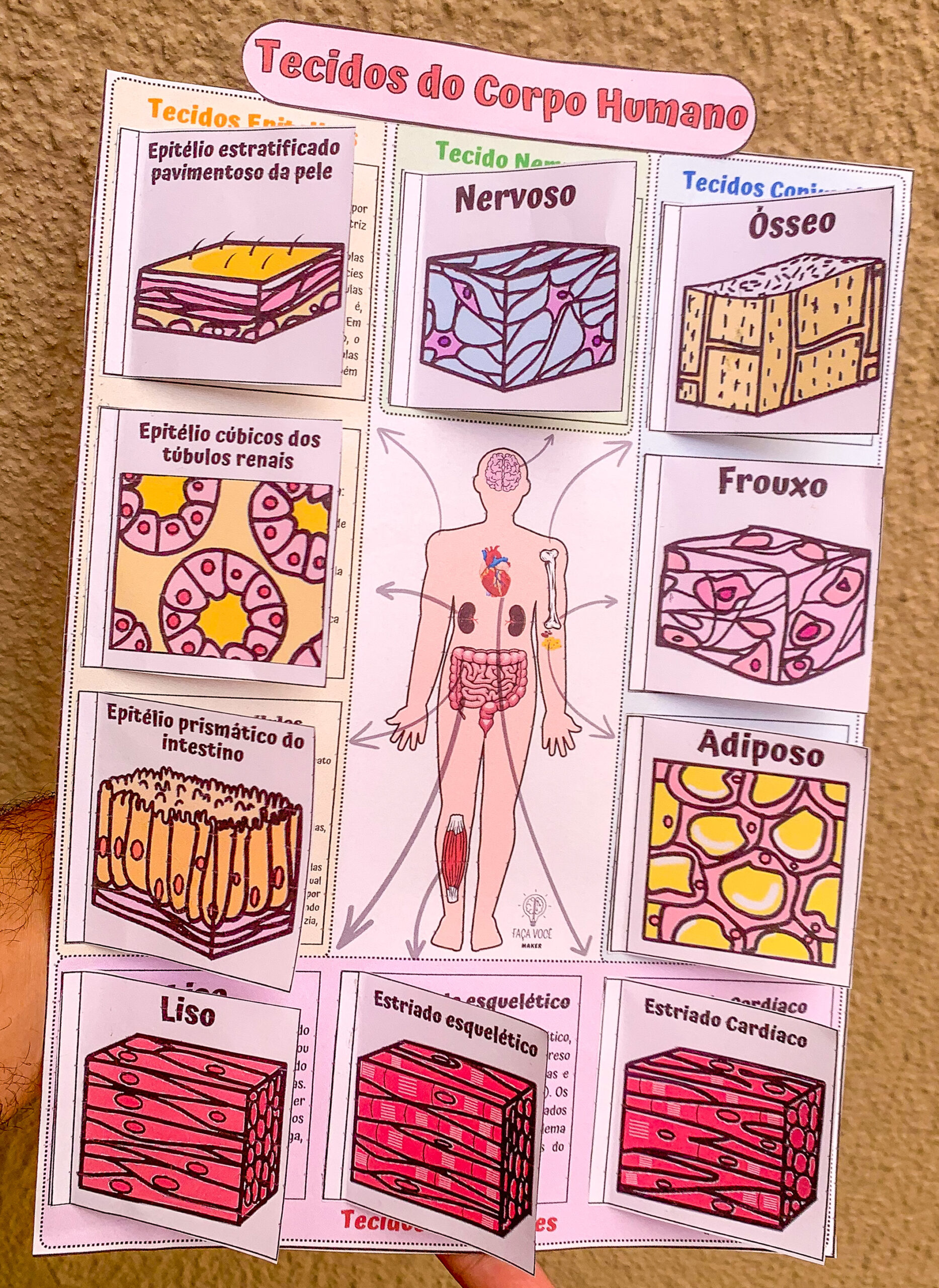 desenho corpo humano para colorir infantil vs adulto