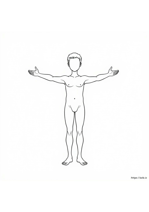 custo de desenhos corpo humano para colorir