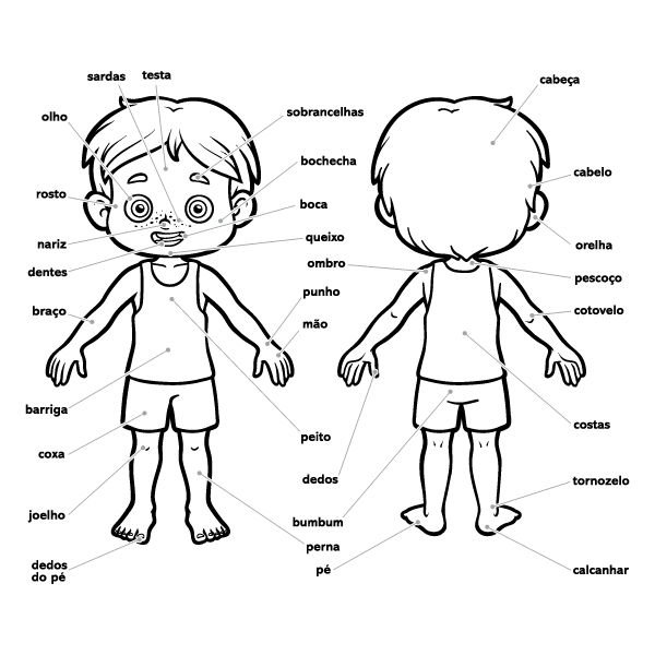 custo de desenhos corpo humano para colorir