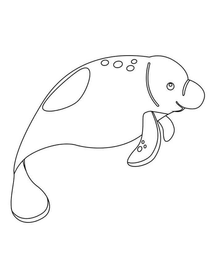 custo de licenças para usar imagens de animais para colorir comercialmente