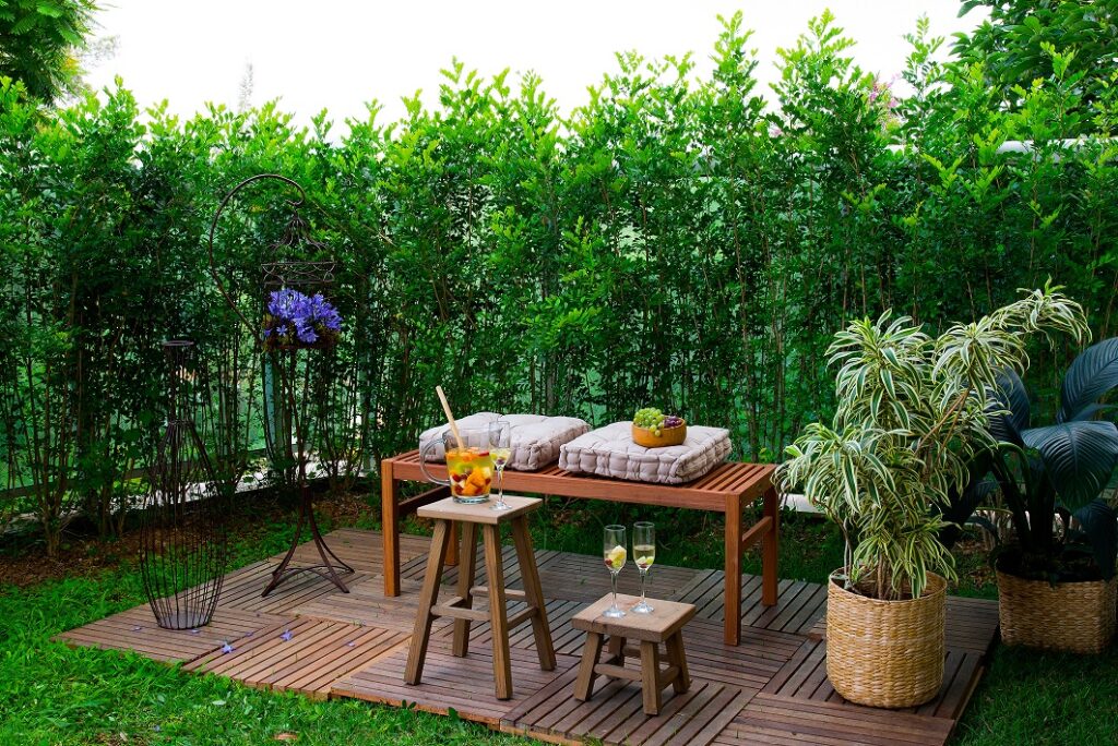 Guia Completo de Plantas de Baixa Manutenção para Seu Jardim