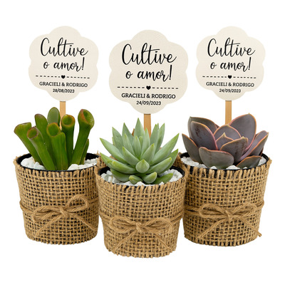 O Guia Definitivo para Escolher Mini Suculentas como Lembrancinha de Casamento