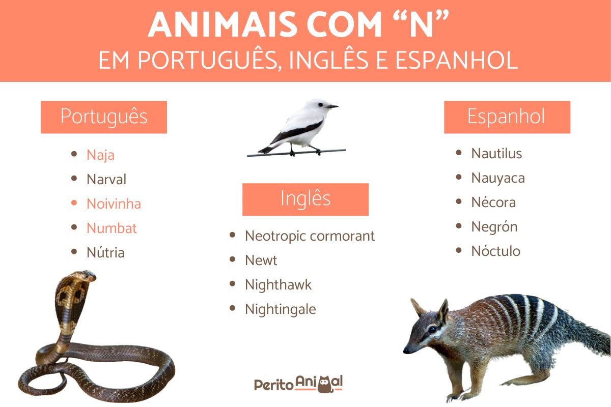 mamífero com a letra n