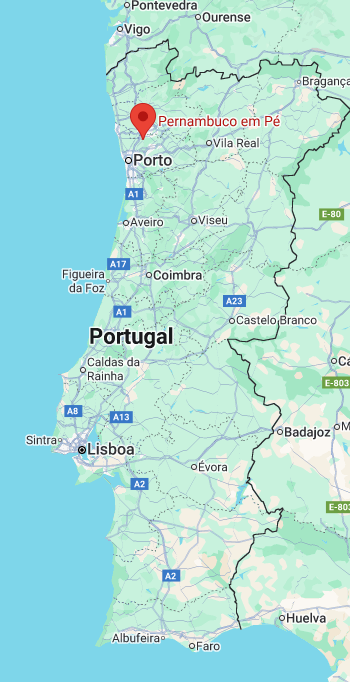 origem do meme guiana brasileira