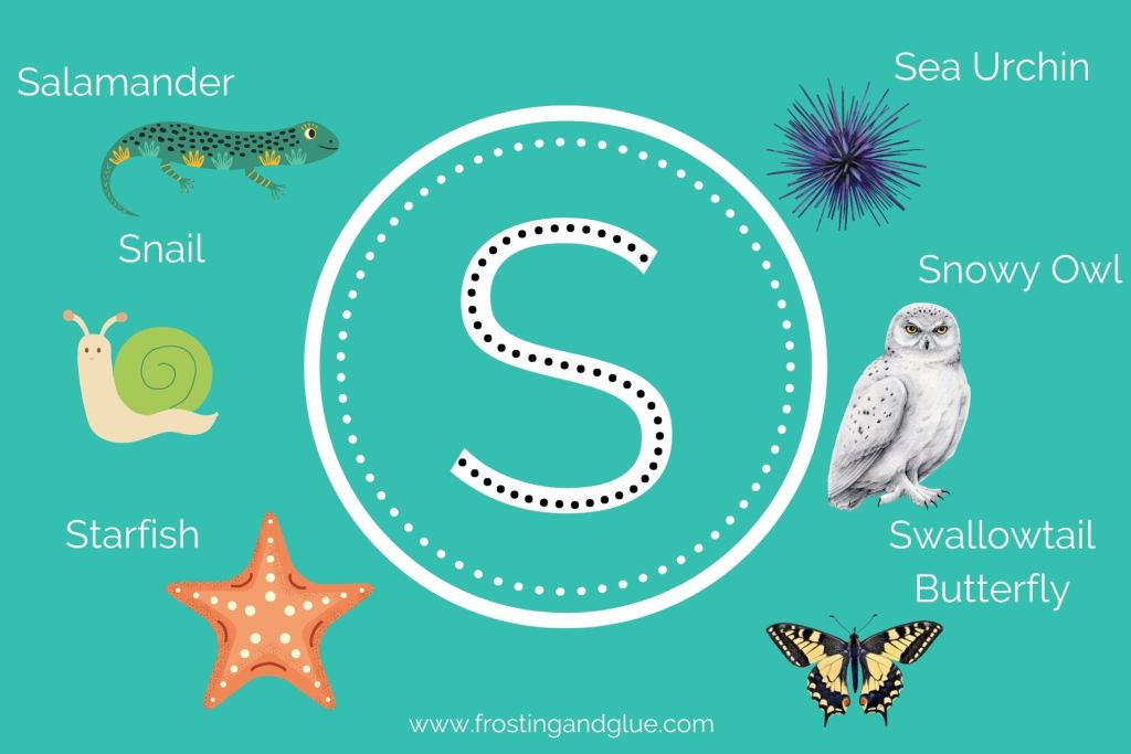 lista completa animais com a letra s