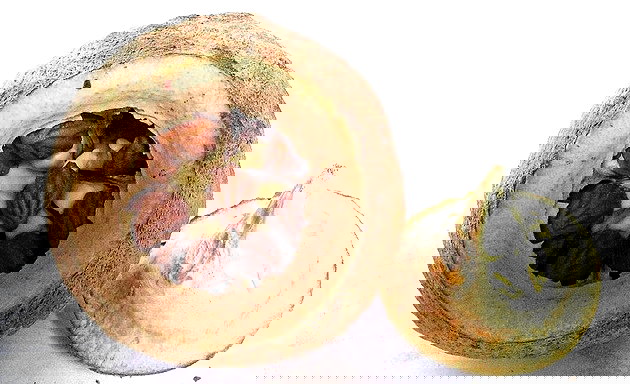 erros comuns ao identificar frutas com s