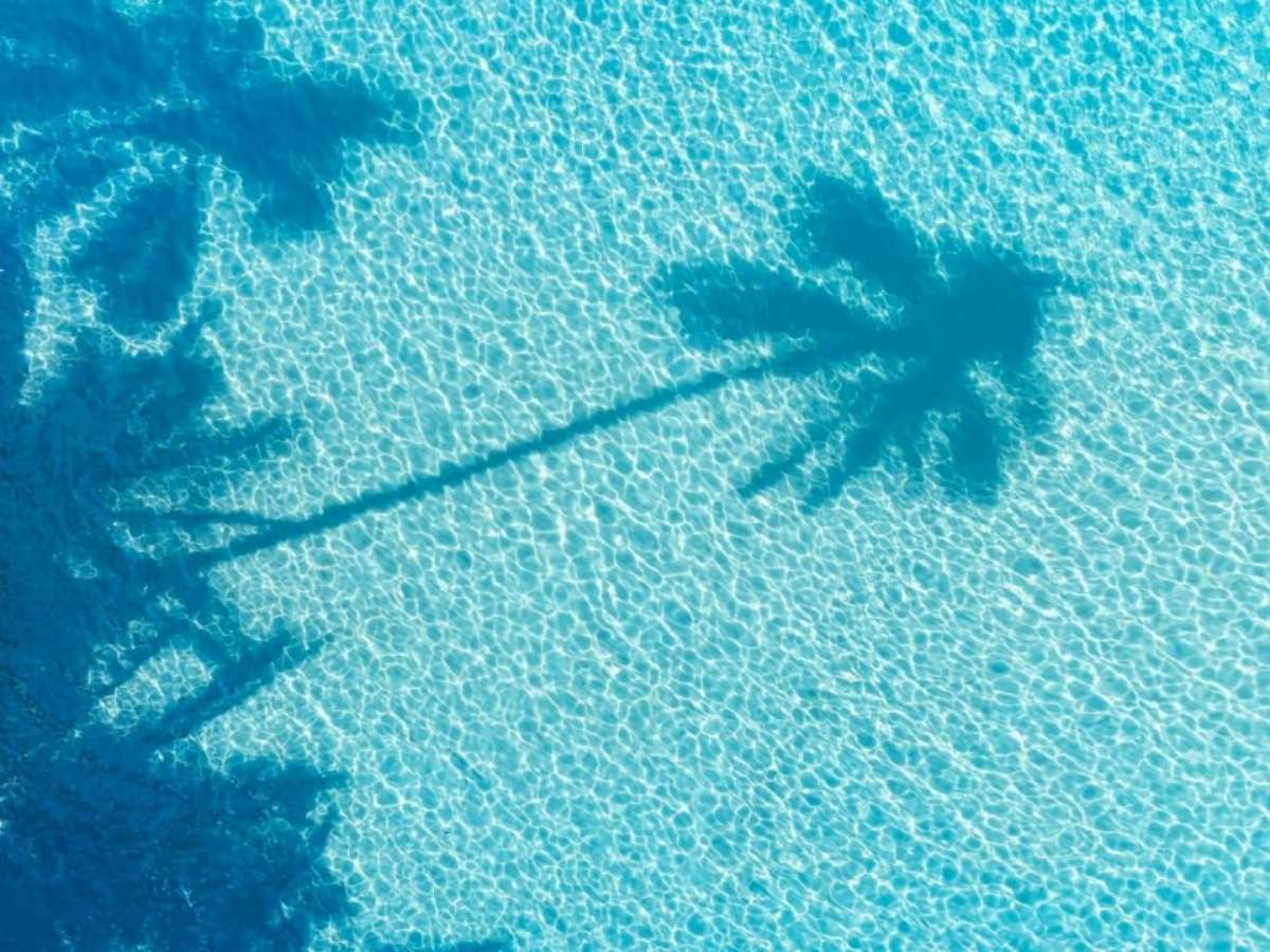 O Perigo da Água Turva nos Sonhos: Conflitos e Confusão