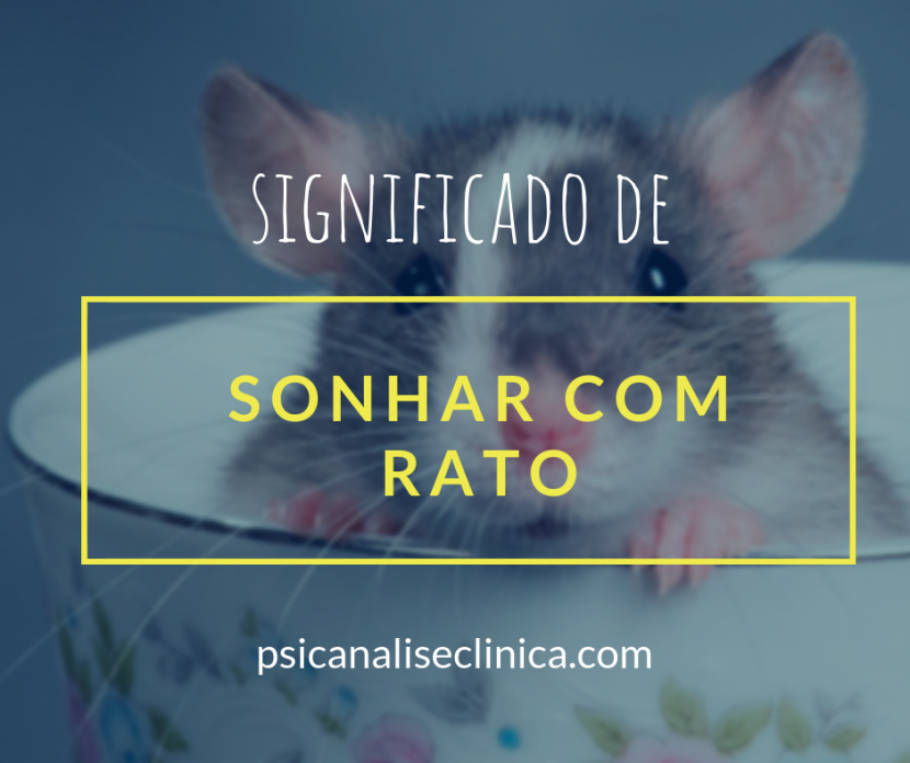 significado de sonhar com rato preto