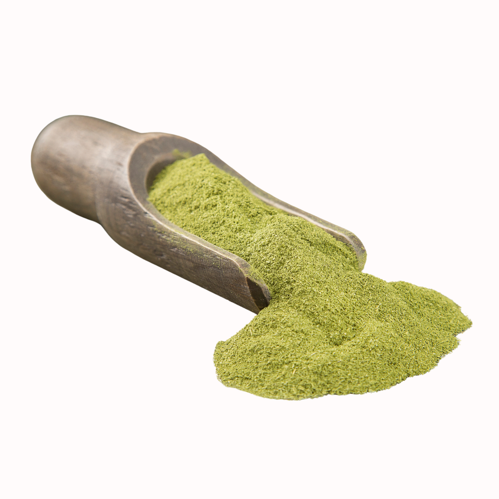 melhores locais para comprar moringa em po