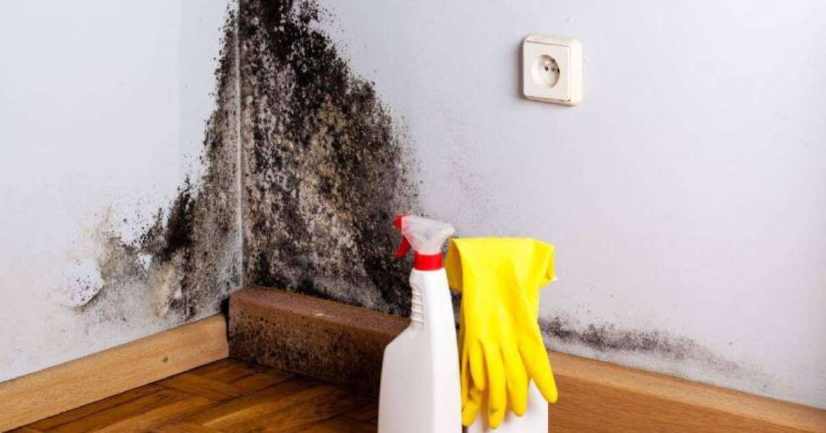 os 5 maiores erros ao tentar remover mofo da parede e como evitá-los