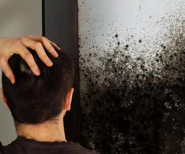 principais erros ao remover mofo da parede e como evitar