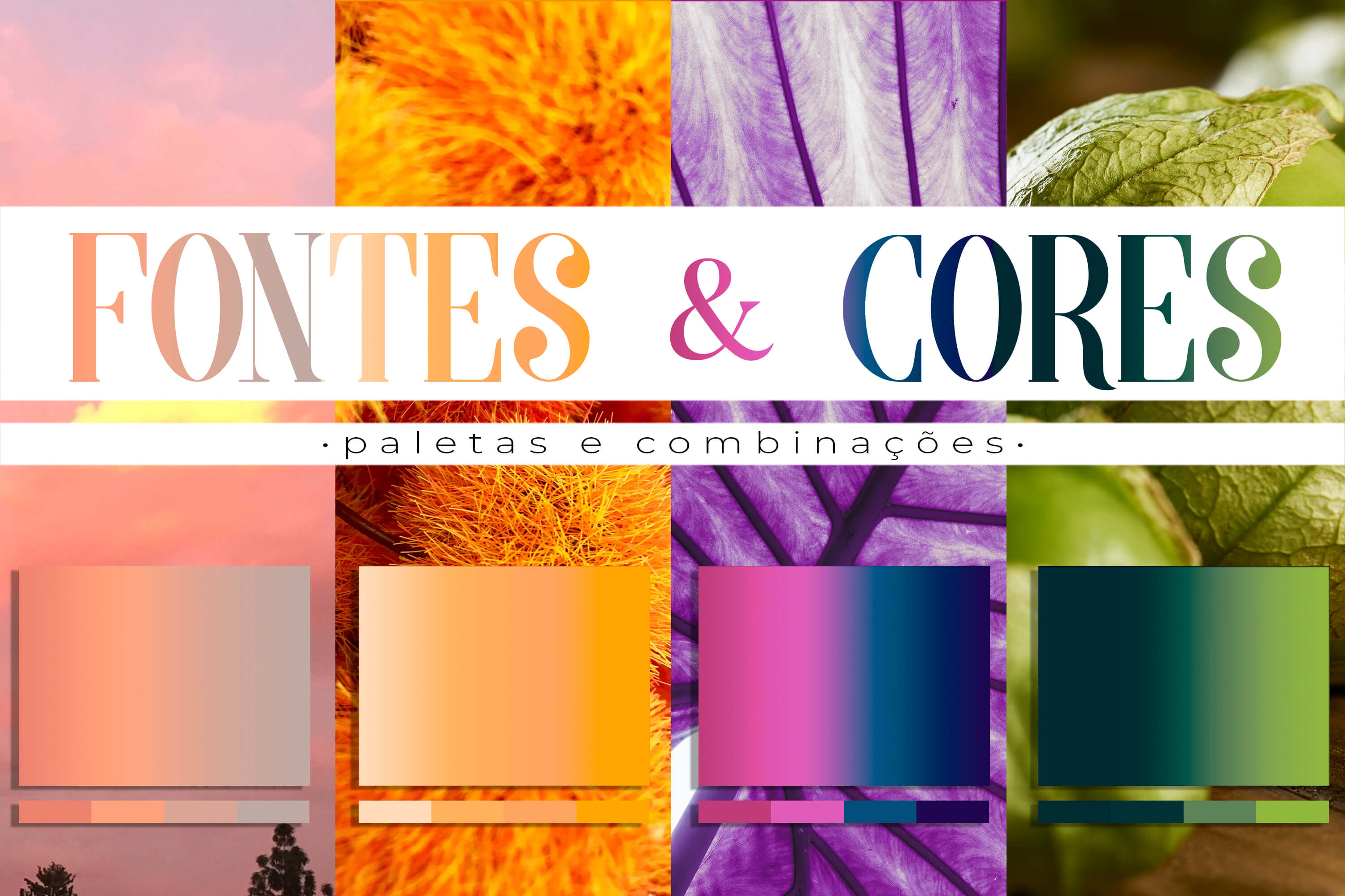 paleta de cores