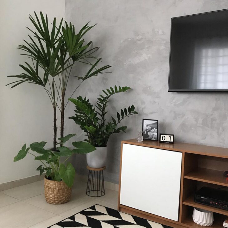 5 ideias de títulos