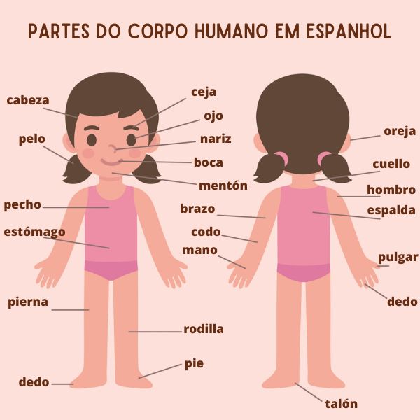 lista completa partes do corpo com p para jogo