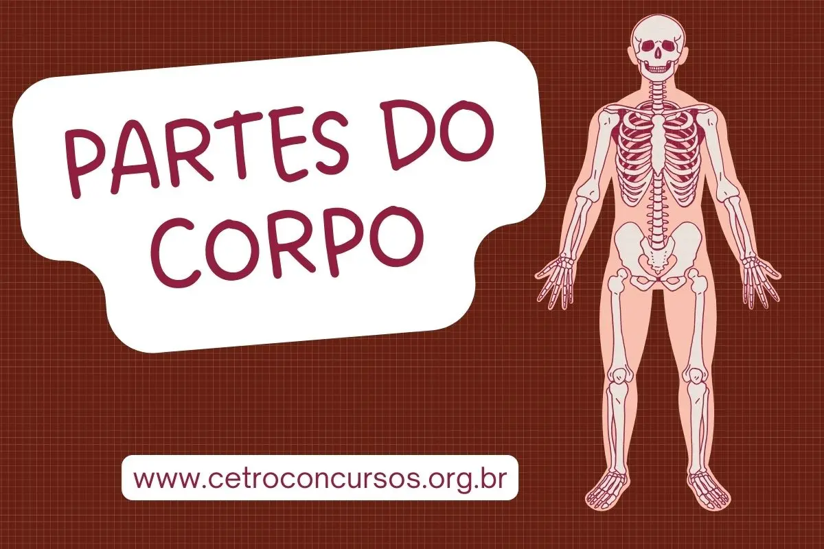 partes do corpo humano com a letra w para jogar stop