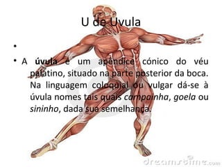 lista partes do corpo humano com u