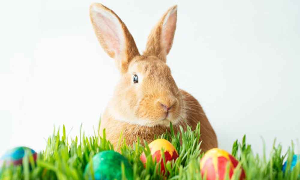 Além do Chocolate: Outros Símbolos da Páscoa que Você Precisa Conhecer