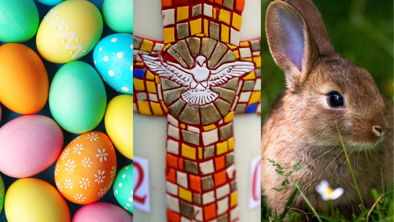 Coelho da Páscoa: Entenda o Símbolo da Fertilidade e Renovação