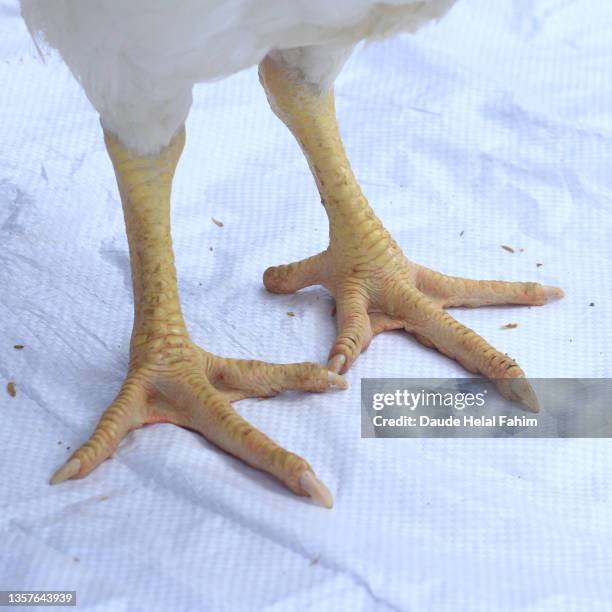 Benefícios do Ácido Hialurônico para a Pele