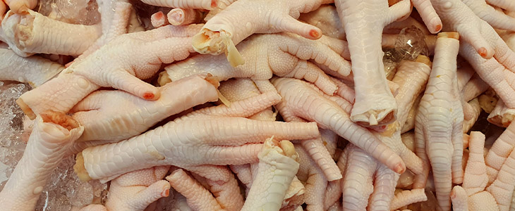 5 Melhores Cremes para Rugas Finas