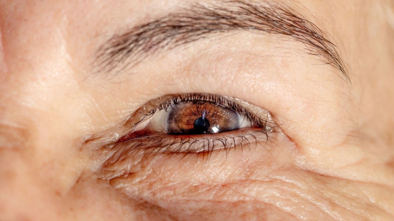 Receita Simples de Caldo de Pé de Galinha Caseiro