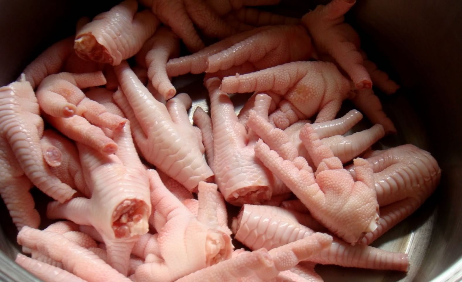 Alimentação Rica em Colágeno: O Que Comer?